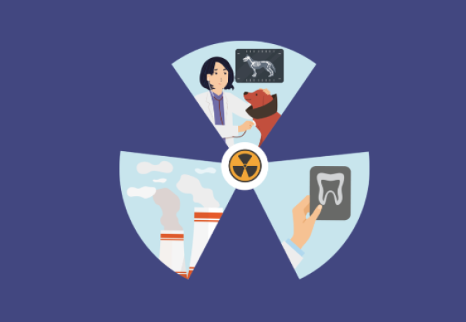 Nouvelles modalités de suivi pour les travailleurs exposés aux rayonnements ionisants et classés - L'actualité de MIST Normandie Nouvelles modalités de suivi pour les travailleurs exposés aux rayonnements ionisants et classés - L'actualité de MIST Normandie